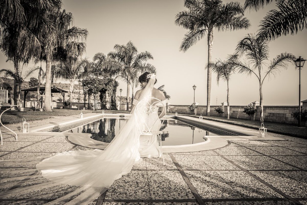 Bride back portrait